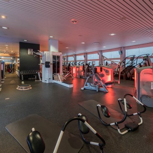 Fitness Palace Brig